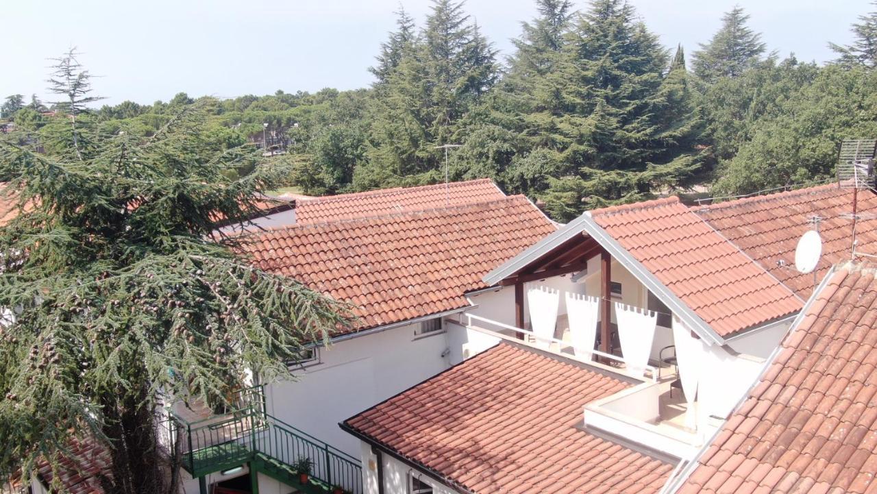Apartment Katoro Umag Exterior photo
